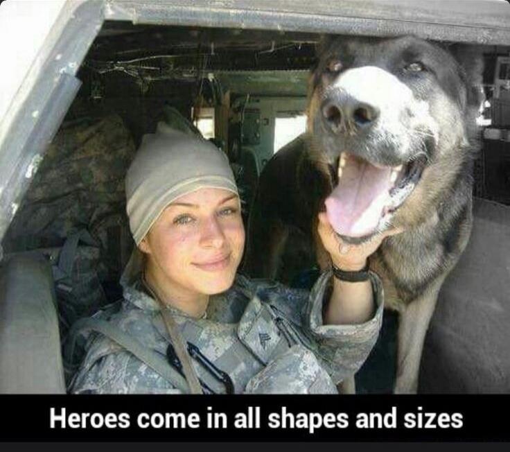 Heroes come in all shapes and sizes
