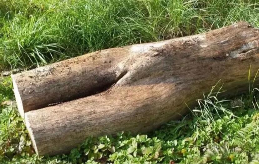 Session ID: 1089404.