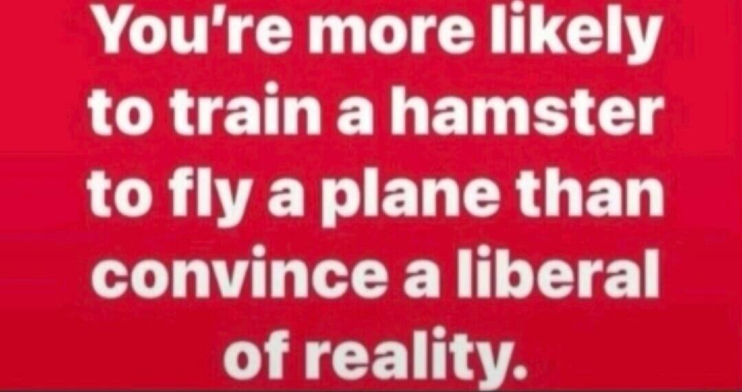 You're more likely to train a hamster to fly a plane than convince a liberal of reality.