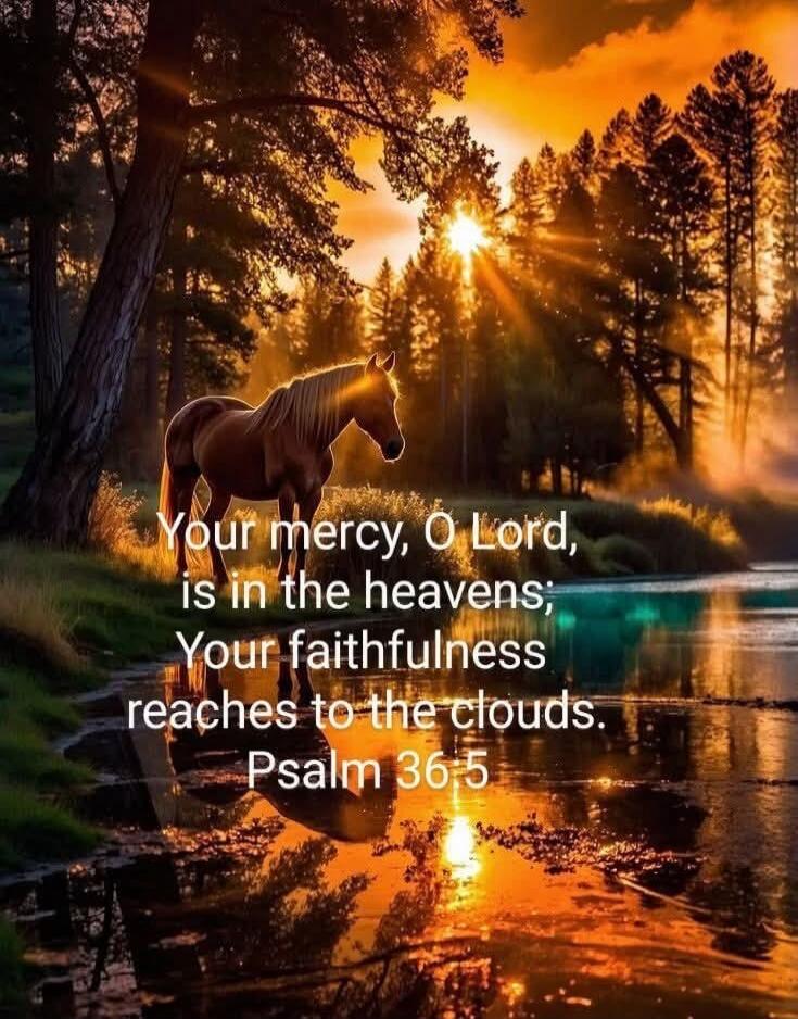 Your mercy, O Lord, is in the heavens; Your faithfulness reaches to the clouds. Psalm 36:5