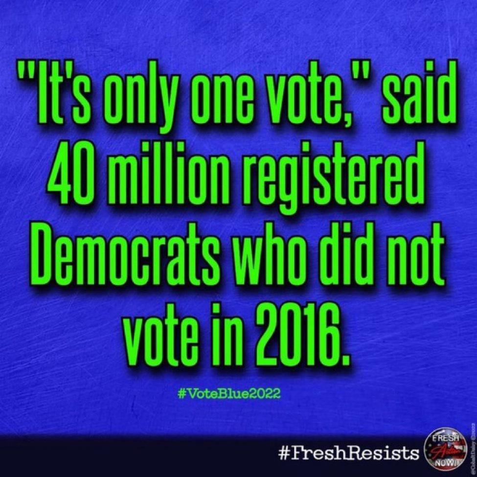 tSonlyonevote said A0millionregistered Democrats whodid not vote in 2016 FreshResists
