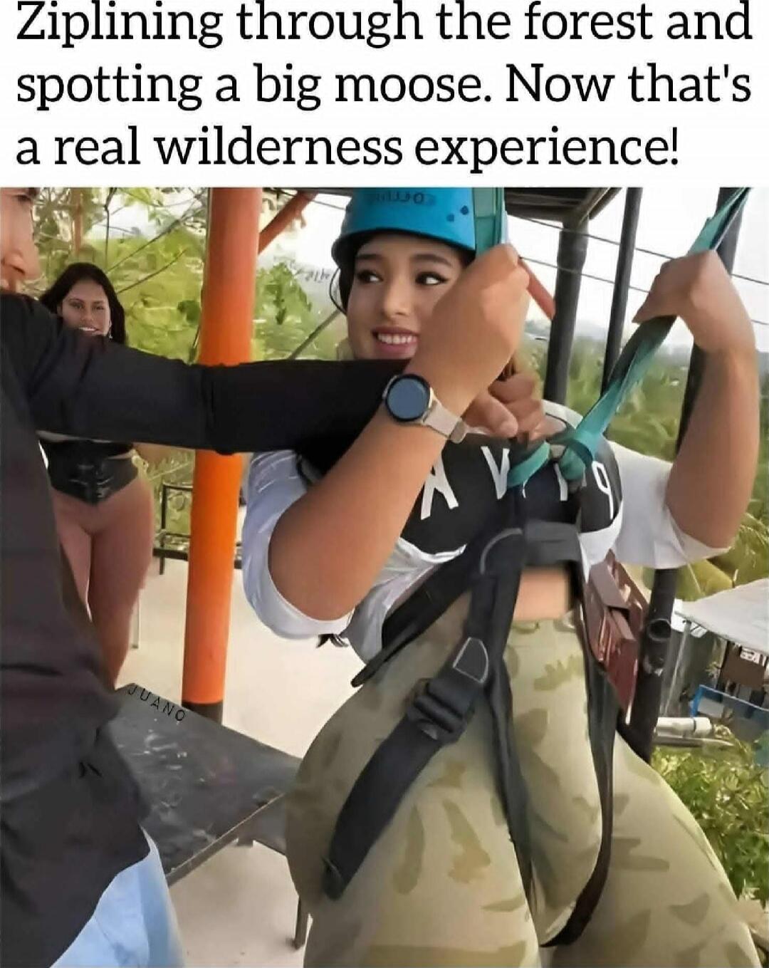 Ziplining through the forest and spotting a big moose. Now that's a real wilderness experience!