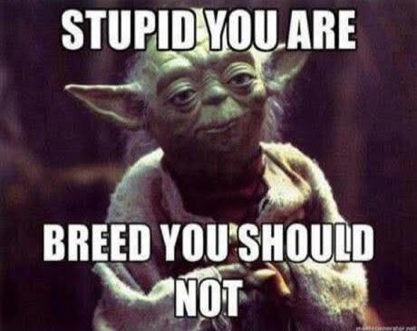 STUPID YOU ARE BREED YOU SHOULD NOT