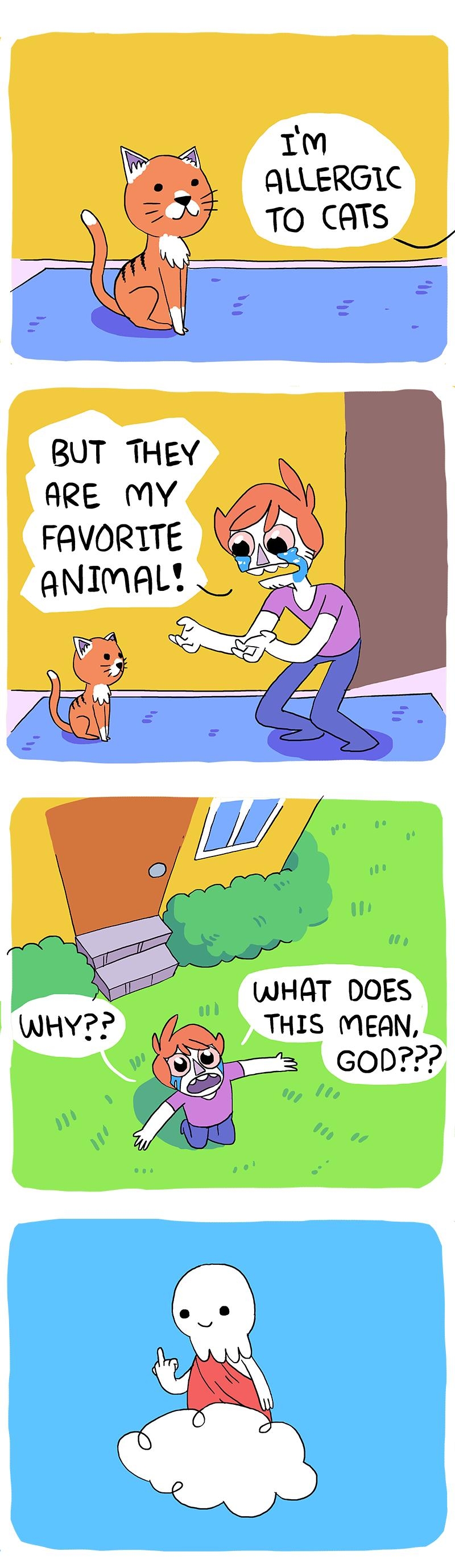 im ALLERGIC TO CATS S 1y BUT THEY ARE MY WHAT DOES L THIS MEAN