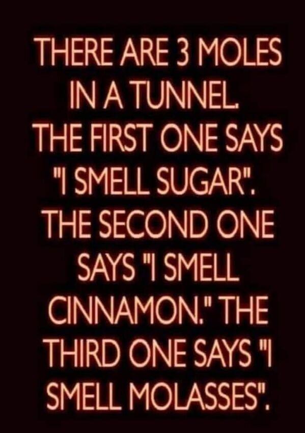 THERE ARE 3 MOLES INPRIVNNES THE FIRST ONE SAYS SMELL SUGAR THE SECOND ONE NARR N IEIE CINNAMON THE THIRD ONE SAYS SMELL MOLASSES