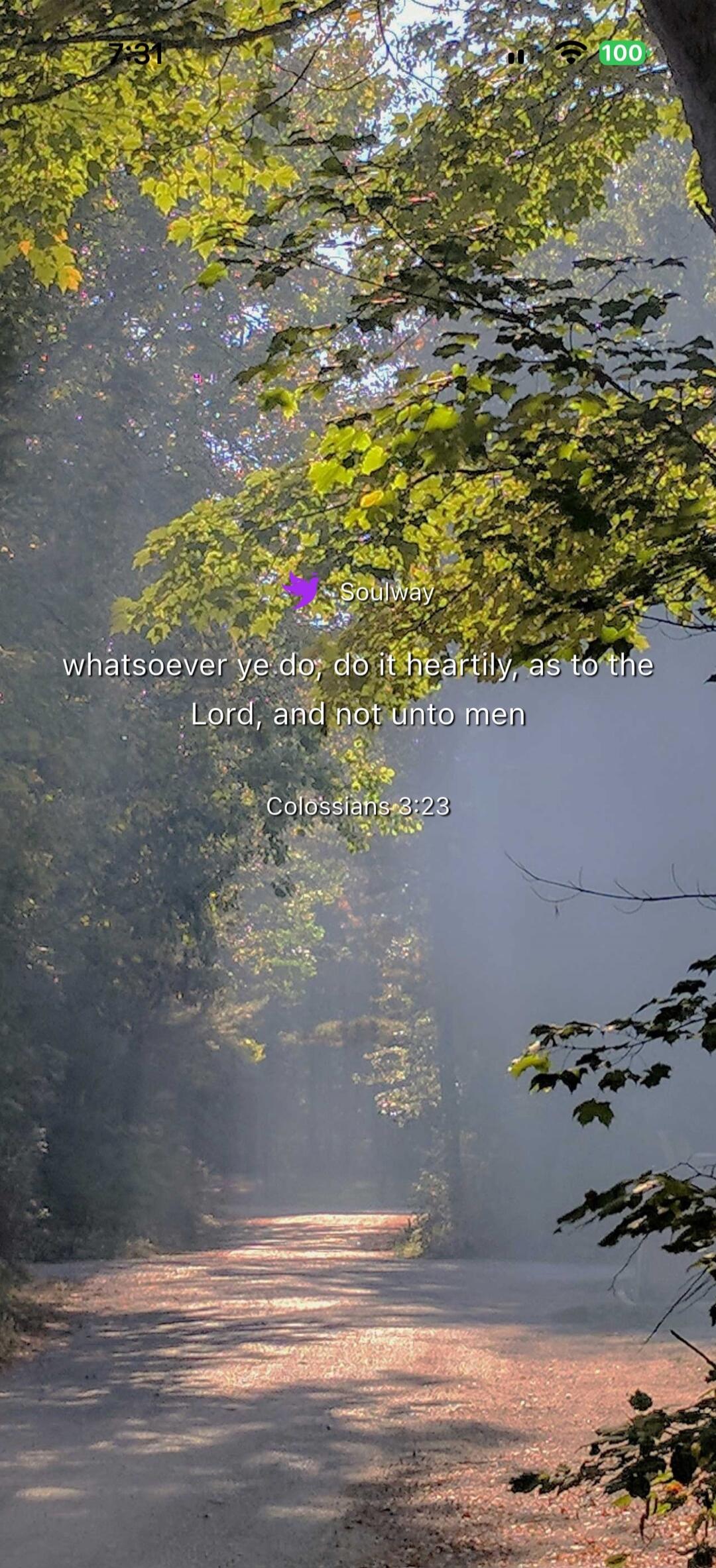 Soulway whatsoever ye do, do it heartily, as to the Lord, and not unto men Colossians 3:23