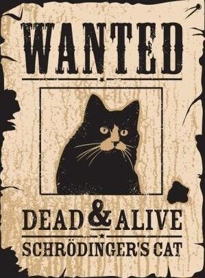 J DEADALIVE SCHRODINGERS CAT s JSES T Y LL FWANT