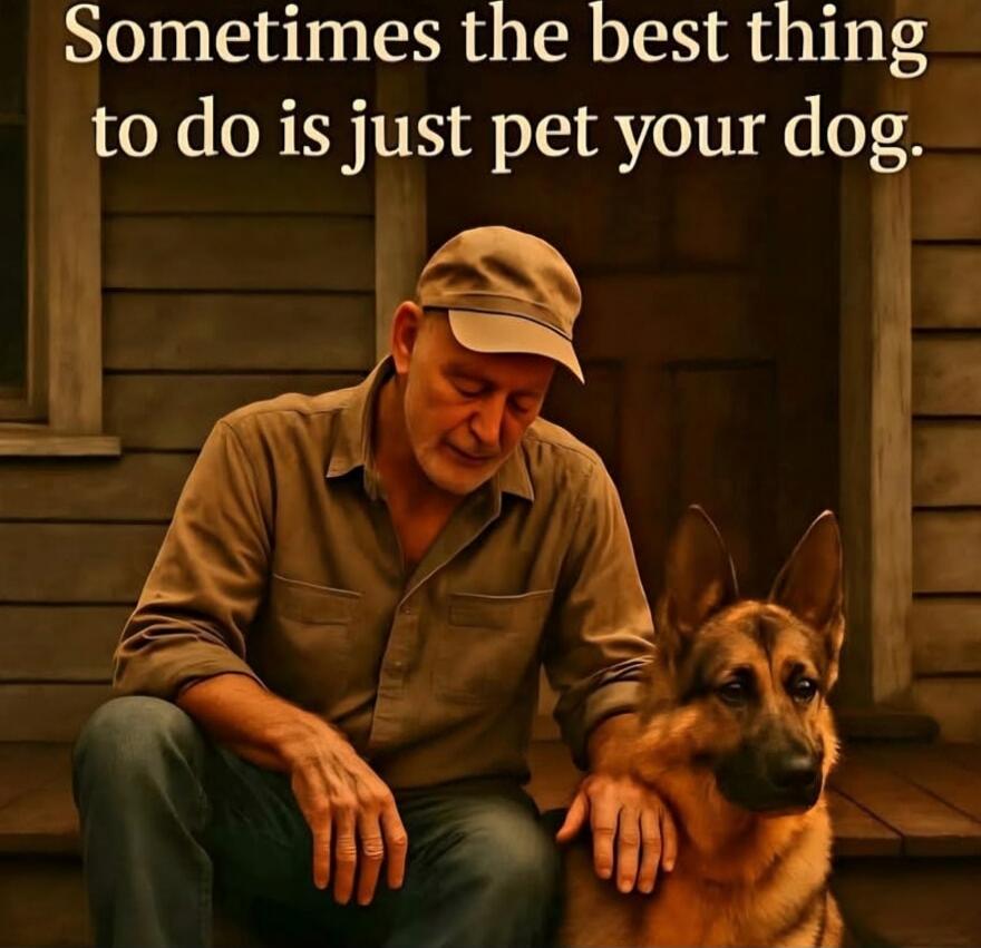 Sometimes the best thing to do is just pet your dog.