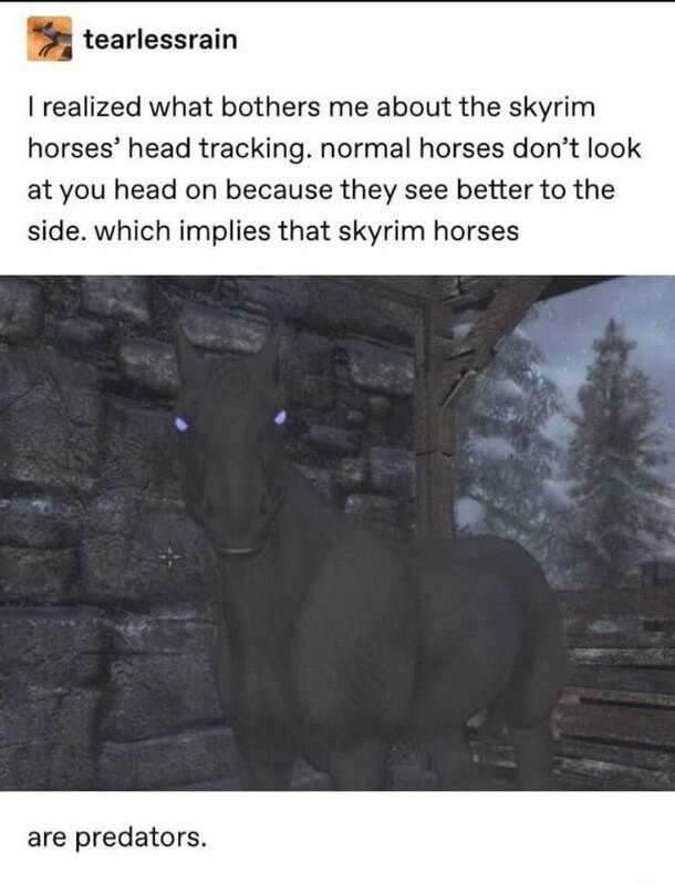 tearlessrain realized what bothers me about the skyrim horses head tracking normal horses dont look at you head on because they see better to the side which implies that skyrim horses