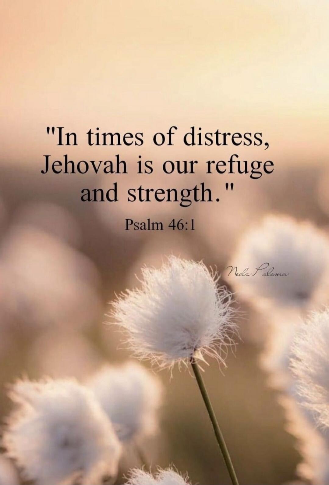 In times of distress, Jehovah is our refuge and strength. Psalm 46:1