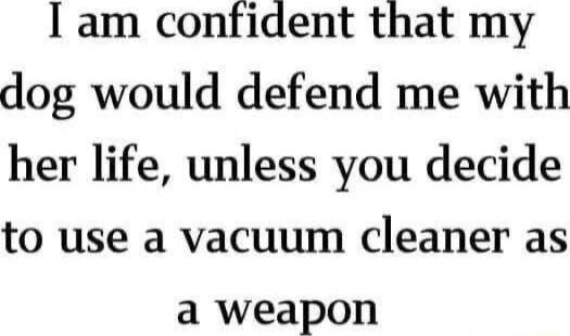 I am confident that my dog would defend me with her life unless you decide to use a vacuum cleaner as a weapon