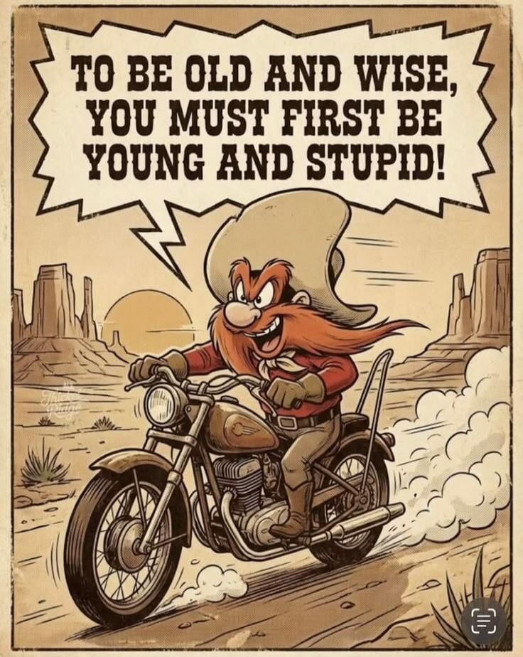 TO BE OLD AND WISE, YOU MUST FIRST BE YOUNG AND STUPID!
