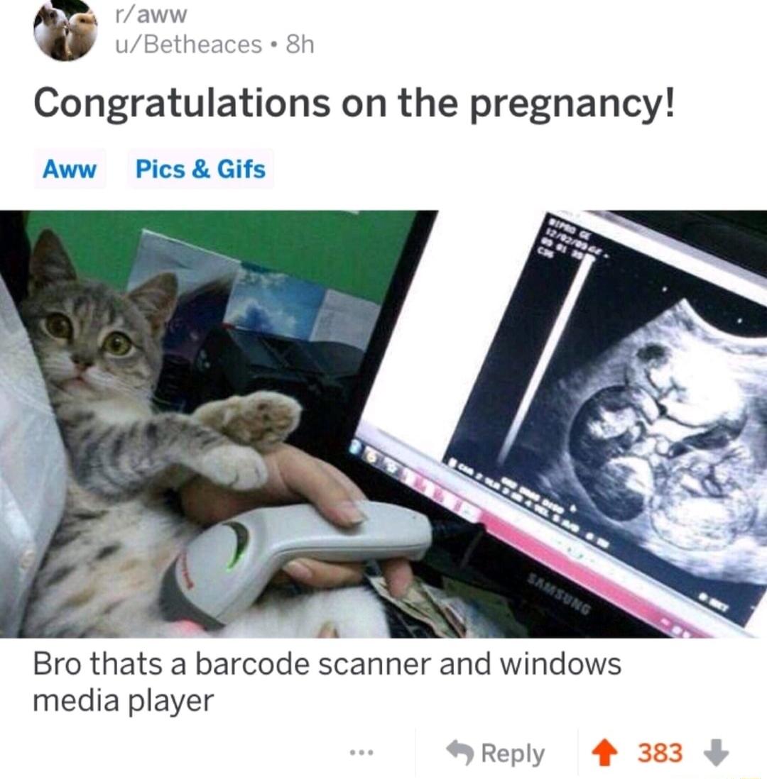 v Congratulations on the pregnancy Aww Pics Gifs Bro thats a barcode scanner and windows media player