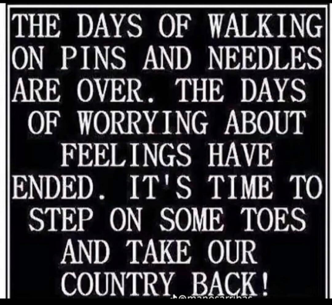 THE DAYS OF WALKING ON PINS AND NEEDLES ARE OVER. THE DAYS OF WORRYING ABOUT FEELINGS HAVE ENDED. IT'S TIME TO STEP ON SOME TOES AND TAKE OUR COUNTRY BACK!