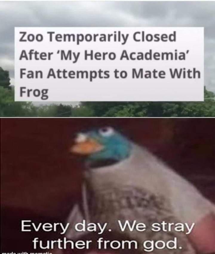 Zoo Temporarily Closed After My Hero Academia Fan Attempts to Mate With Frog SAVZSTaVale F VAR VAVCRS f 2 Bitlatalsigelggielolof S