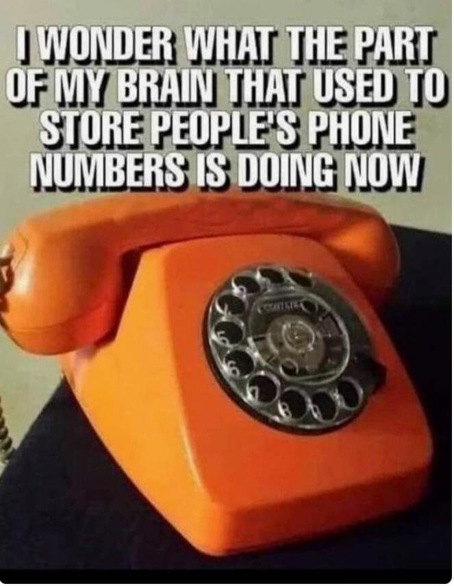 I WONDER WHAT THE PART OF MY BRAIN THAT USED TO STORE PEOPLE'S PHONE NUMBERS IS DOING NOW