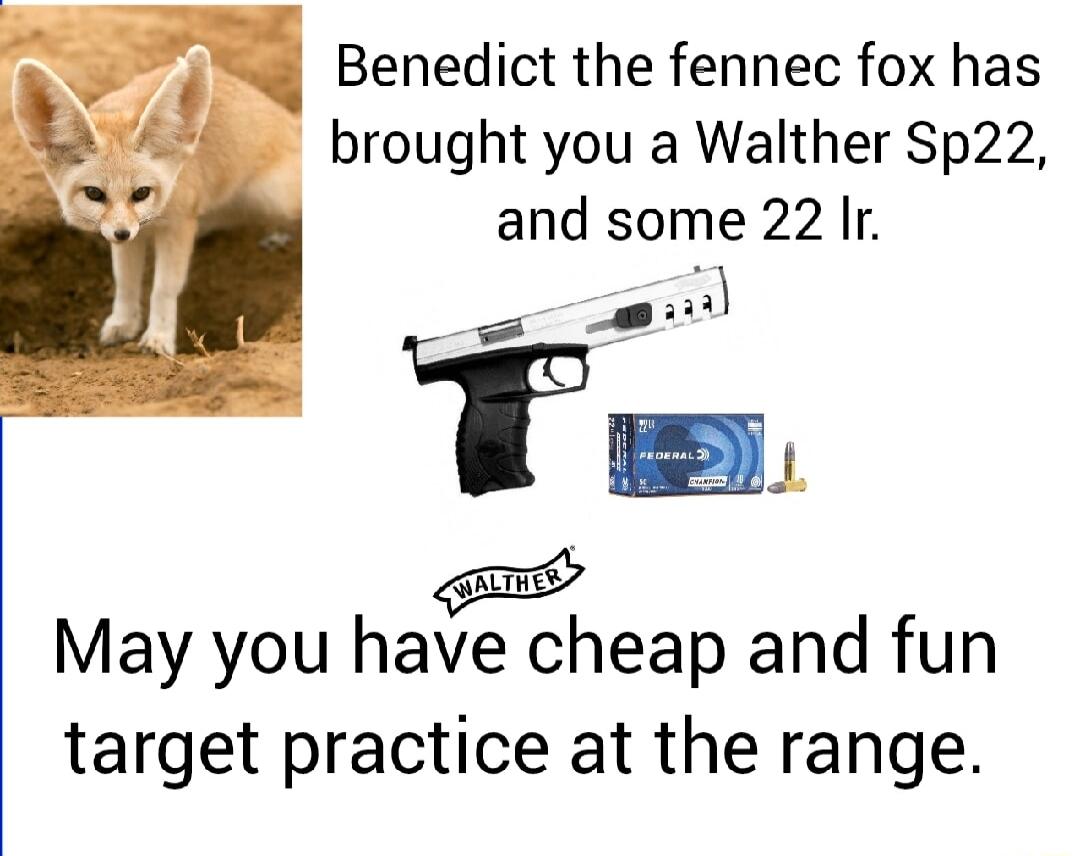Benedict the fennec fox has brought you a Walther Sp22 and some 22 Ir B May you have cheap and fun target practice at the range