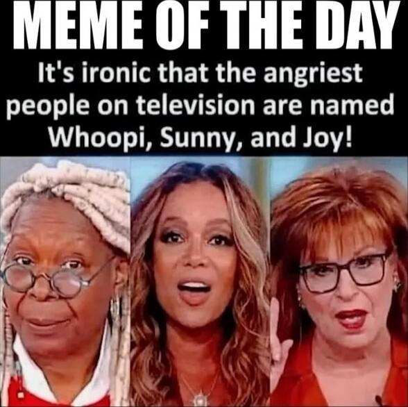 MEME OF THE DAY
It's ironic that the angriest people on television are named Whoopi, Sunny, and Joy!