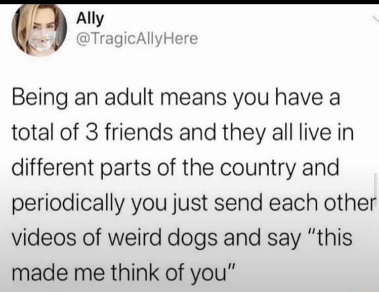 Ally TragicAllyHere Being an adult means you have a total of 3 friends and they all live in different parts of the country and periodically you just send each other videos of weird dogs and say this made me think of you