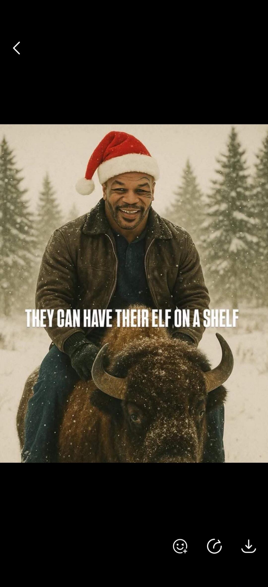 THEY CAN HAVE THEIR ELF ON A SHELF