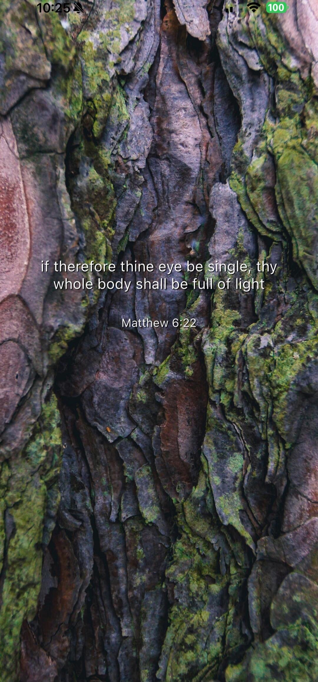 if therefore thine eye be single, thy whole body shall be full of light
Matthew 6:22