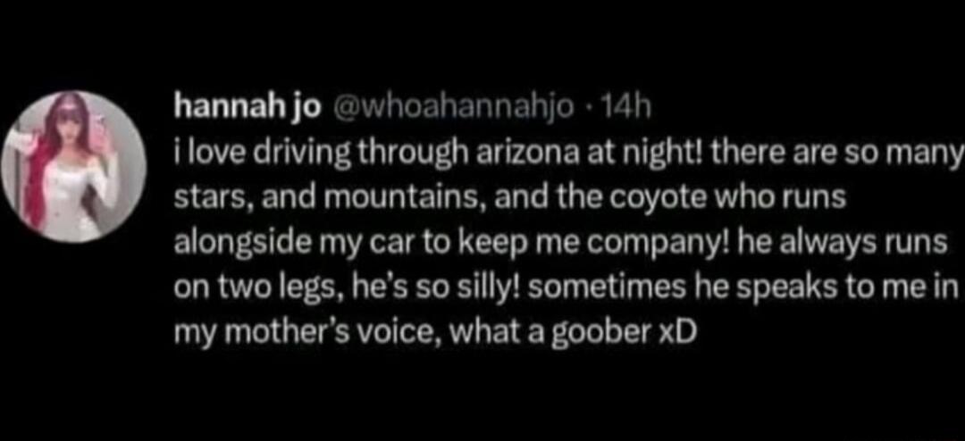 hannahjo whoahannahjo 14h ilove driving through arizona at night there are so many stars and mountains and the coyote who runs alongside my car to keep me company he always runs ontwolegs hes so sillyl sometimes he speaks to me in my mothers voice what a goober xD