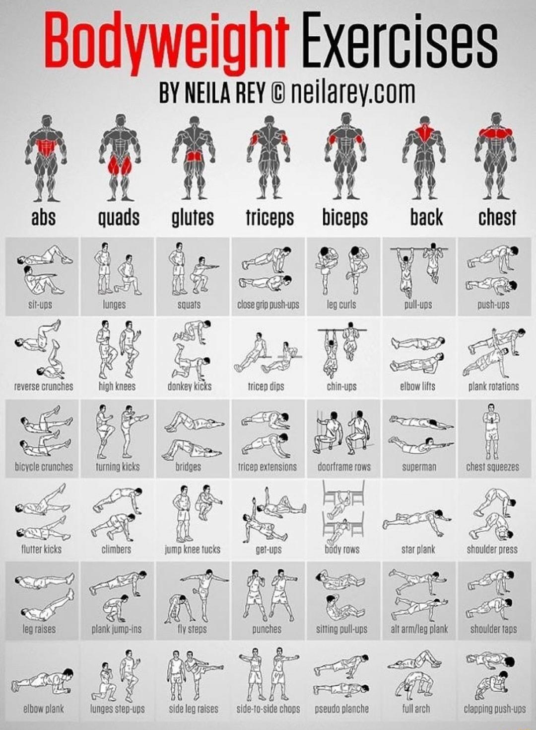 Bodyweight Exercises BY NEILA REY neilareycom rErTR 11 abs quads olutes triceps hiceps back chest Gg fle T B8 sit ups lunaes squals closegrip pust ups leg curls pull ups push ups 02t oST a3 i g ef Teverse cmnrhes high knees donkey kicks tricep dips chin ups gf v k g mcvnle crunches furning kicks bridges Iricep exxensmns doorframe rows superman chest suueezes 4 T X A a e S 4 Uz QLA k p C m S G ore 