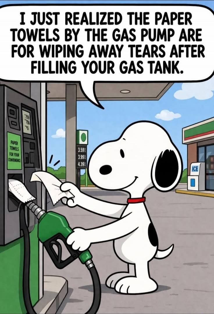 I JUST REALIZED THE PAPER TOWELS BY THE GAS PUMP ARE FOR WIPING AWAY TEARS AFTER FILLING YOUR GAS TANK. PAPER TOWELS FOR YOUR CONVENIENCE. 3.59 3.99 4.39