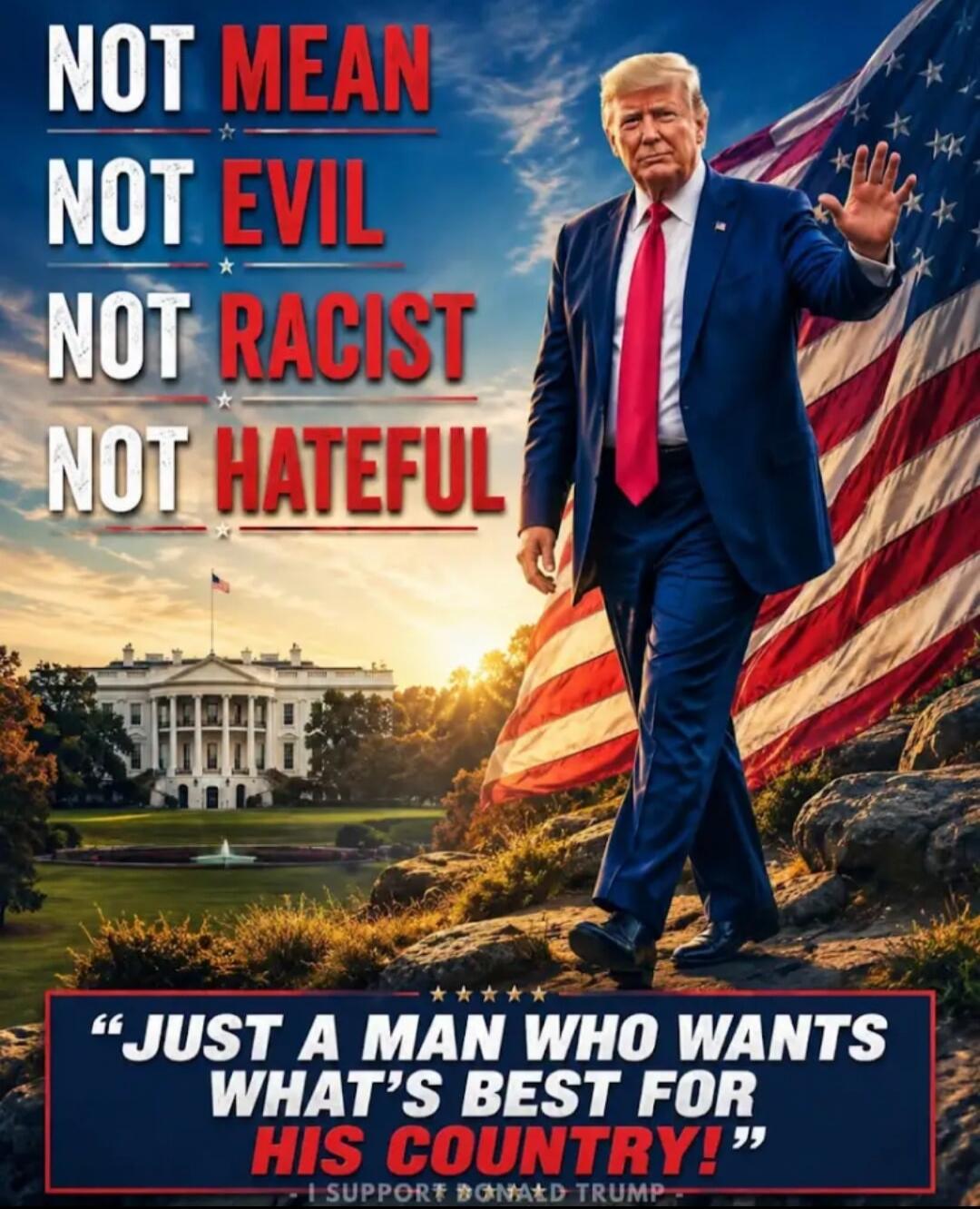 NOT MEAN NOT EVIL NOT RACIST NOT HATEFUL 