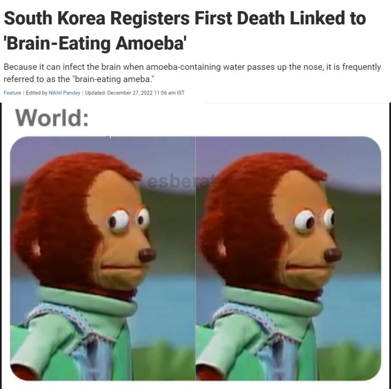 South Korea Registers First Death Linked to Brain Eating Amoeba an fect the 10 38 the brain ea hen amoaba containing waterpasses up the nose t s requently World
