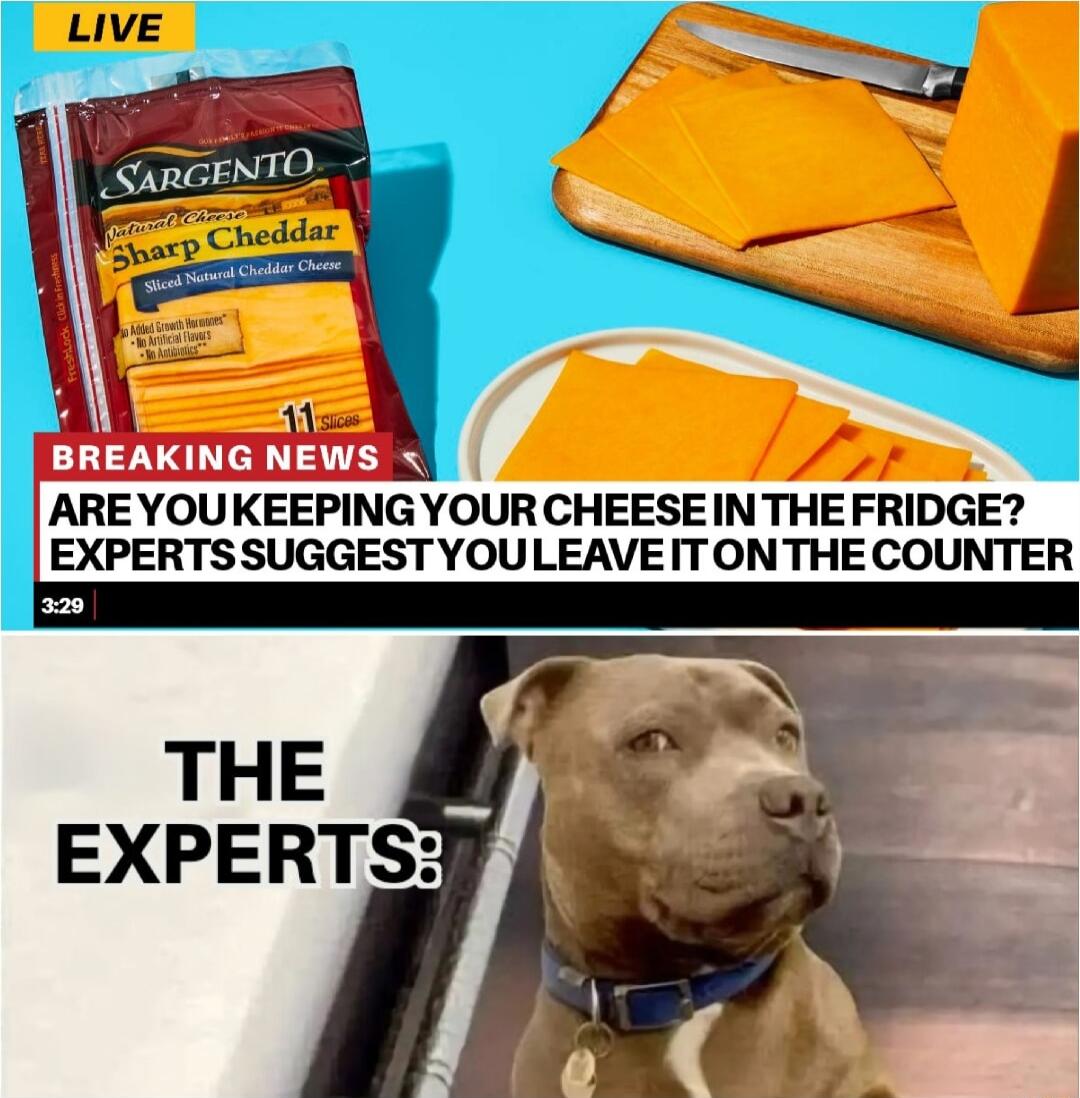 LIVE BREAKING NEWS AREYOUKEEPING YOUR CHEESEIN THE FRIDGE EXPERTS SUGGEST YOULEAVE ITONTHE COUNTER