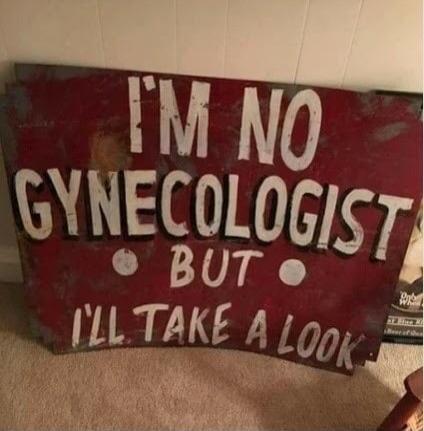 I'M NO GYNECOLOGIST BUT I'LL TAKE A LOOK