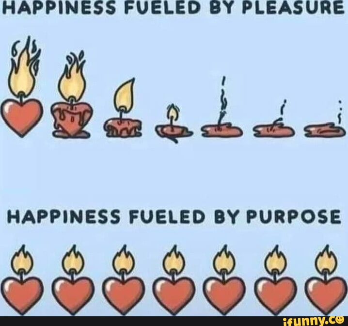 HAPPINESS FUELED BY PLEASURE ggaigg HAPPINESS FUELED BY PURPOSE