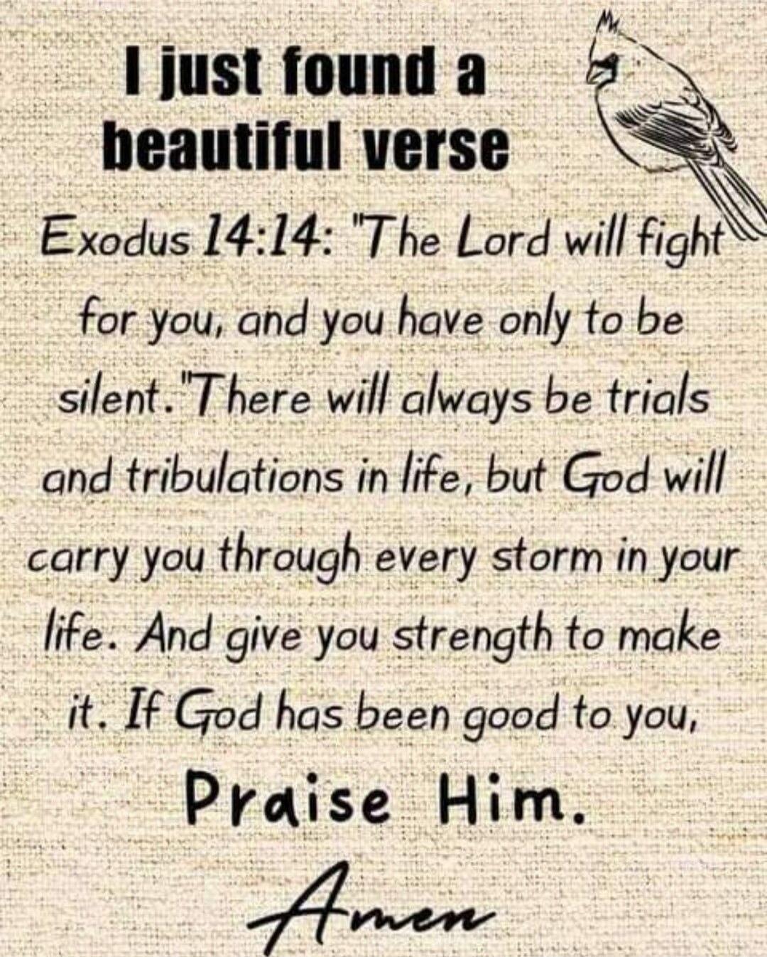 I just found a beautiful verse Exodus 14:14: 