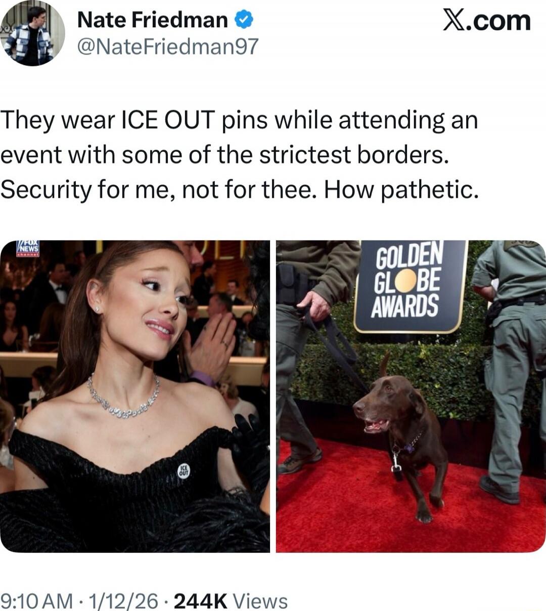 They wear ICE OUT pins while attending an event with some of the strictest borders. Security for me, not for thee. How pathetic.