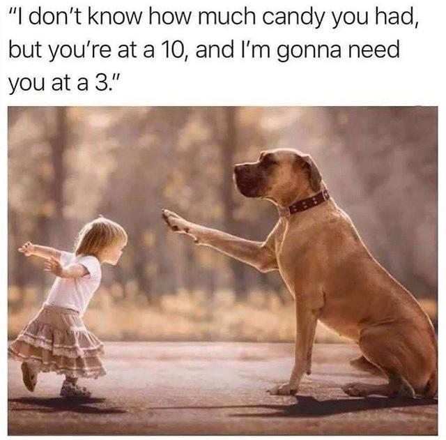 I dont know how much candy you had but youre at a 10 and Im gonna need youata3