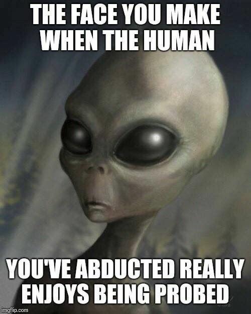 THE FACE YOU MAKE WHEN THE HUMAN YOUVE ABDUCTED REALLY ENJOYS BEINGPROBED