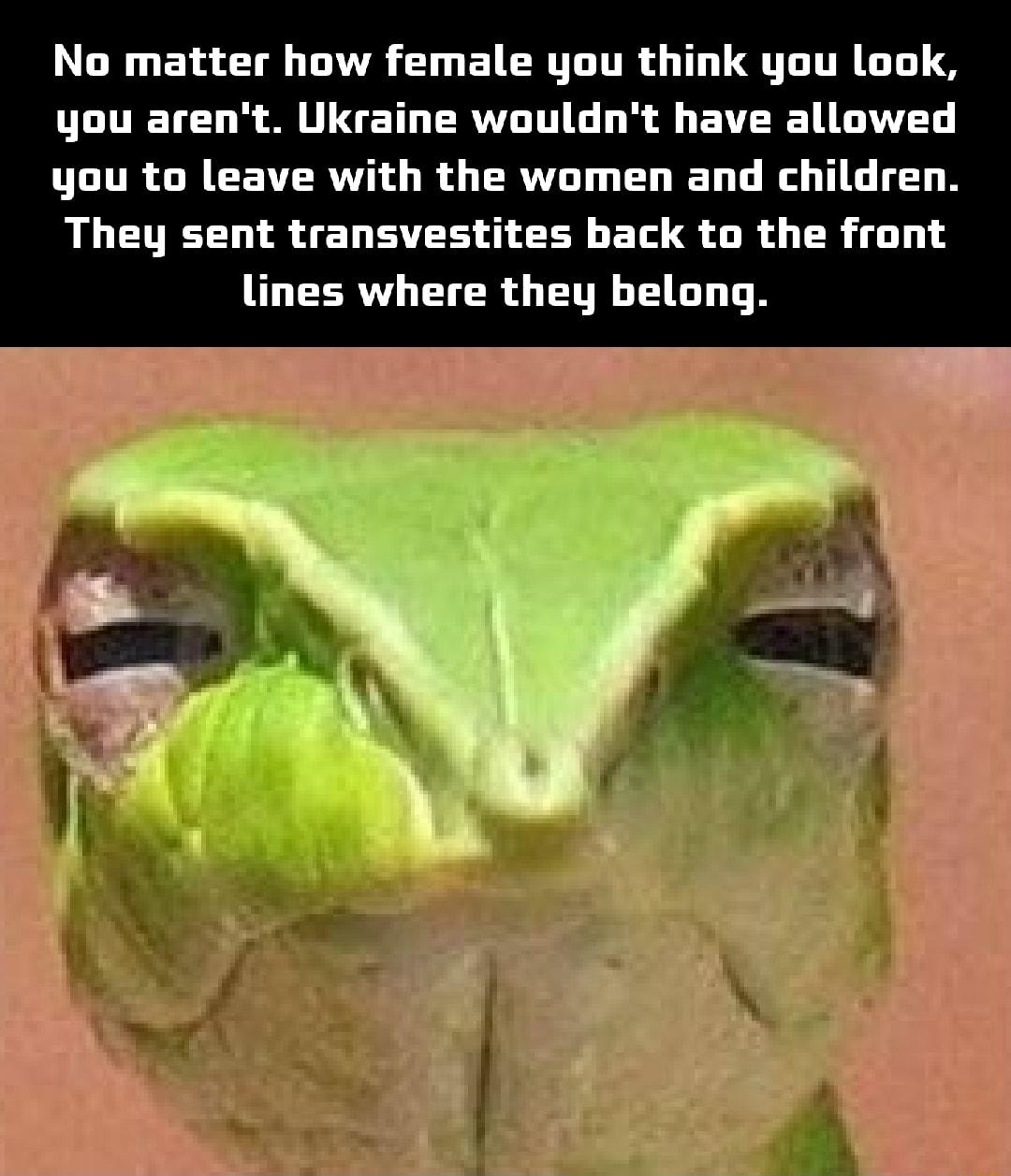 No matter how female you think you look you arent Ukraine wouldnt have allowed ULURCECENTRV G RS ERWE T ELIED G R TG N They sent transvestites back to the front lines where they belong