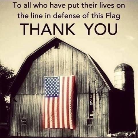 To all who have put their lives on the line in defense of this Flag THANK YOU
