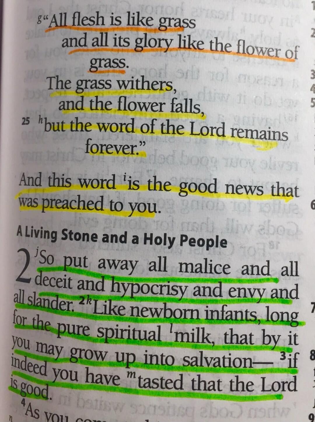 All flesh is like grass and all its glory like the flower of grass. The grass wihers, and the flower falls, but the word of the Lord remains forever. And this word is the good news that was preached to you. A Living Stone and a Holy People. So put away all malice and all deceit and hypocrisy and envy and all slander. Like newborn infants, long for 