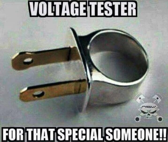 VOLTAGE TESTER FOR THAT SPECIAL SOMEONE!!