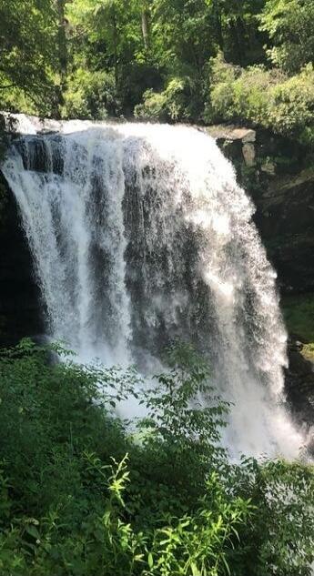 A wide waterfall cascading over rocks with lush green vegetation surrounding it. The scene is bright and tranquil, typical of a forest waterfall.