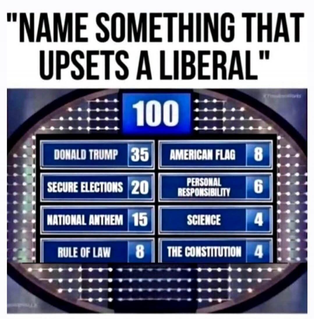 NAME SOMETHING THAT UPSETS A LIBERAL 100 DONALD TRUMP 35 SECURE ELECTIONS 20 NATIONAL ANTHEM 15 RULE OF LAW 8 AMERICAN FLAG 8 PERSONAL RESPONSIBILITY 6 SCIENCE 4 THE CONSTITUTION 4