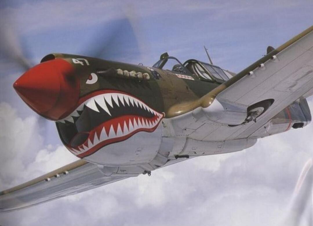 A P-40 Warhawk aircraft with distinctive shark teeth nose art flying in the sky.