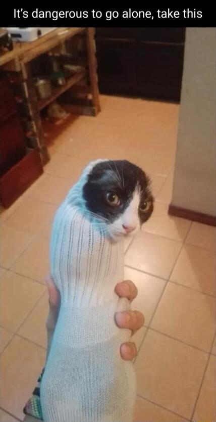 Its dangerous to go alone take this L