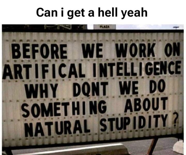 Can i get a hell yeah BEFORE WE WORK ON ARTIFICIAL INTELLIGENCE WHY DONT WE DO SOMETHING ABOUT NATURAL STUPIDITY?