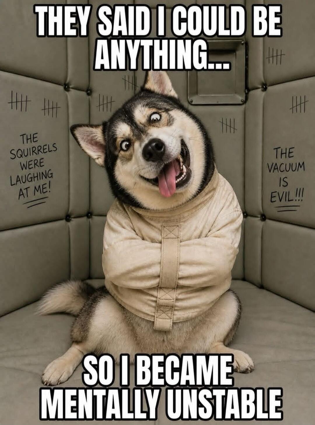 THEY SAID I COULD BE ANYTHING... THE SQUIRRELS WERE LAUGHING AT ME! THE VACUUM IS EVIL!!! SO I BECAME MENTALLY UNSTABLE