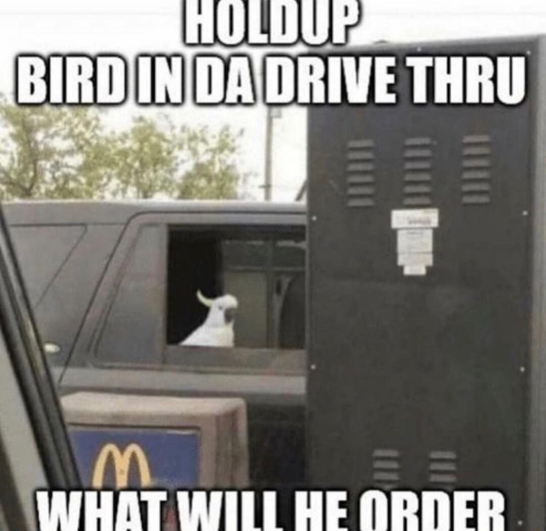 UL BIRD nw THRU m WHAT WIII HE NRDER