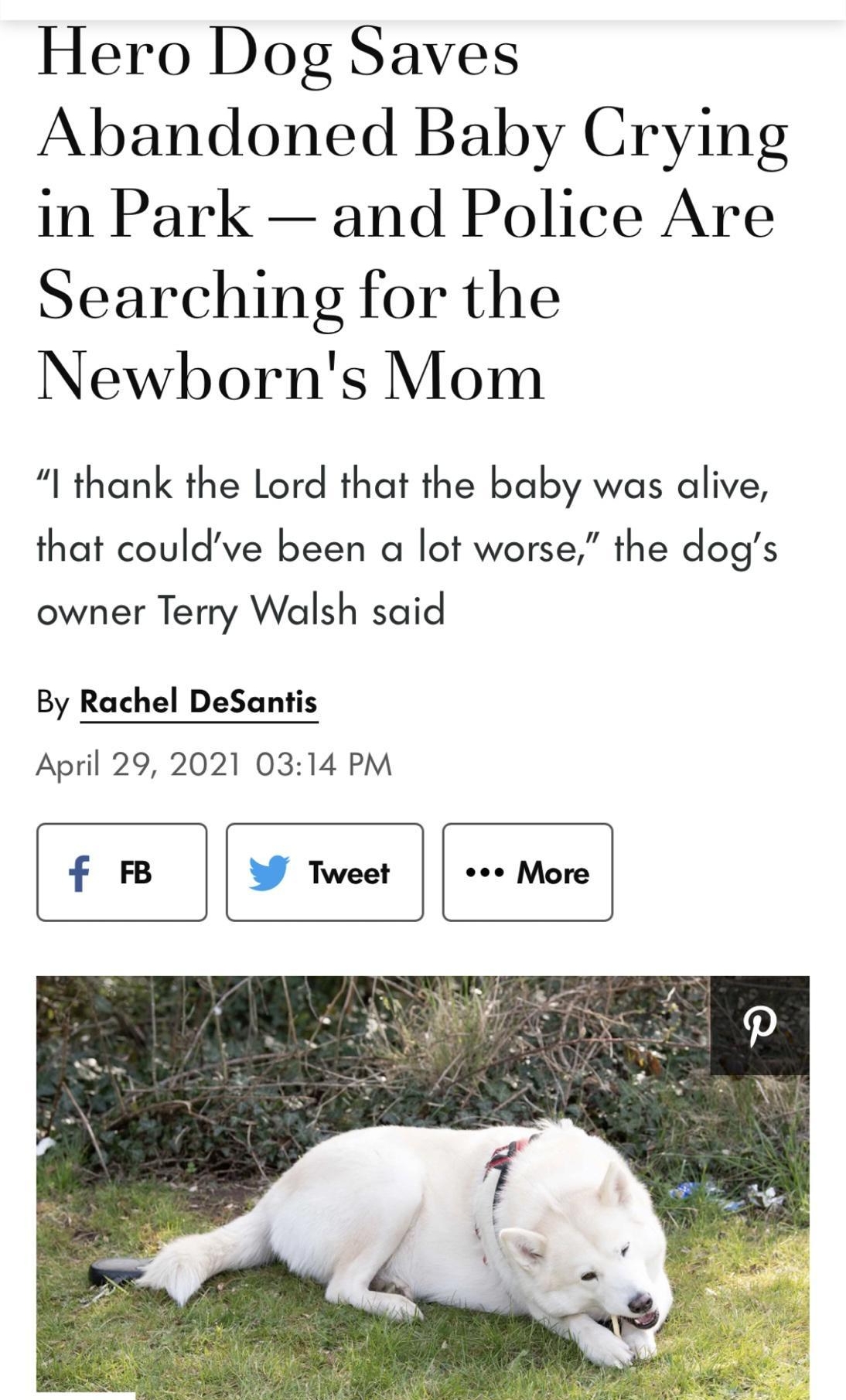 Hero Dog Saves Abandoned Baby Crying in Park and Police Are Searching for the Newborns Mom I thank the Lord that the baby was alive that couldve been a lot worse the dogs owner Terry Walsh said By Rachel DeSantis April 29 2021 0314 PM m