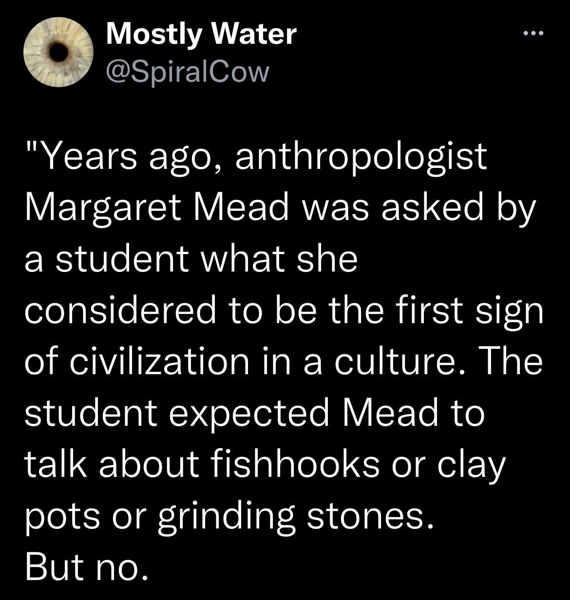 Mostly Water SI e2e1 R CETCE T el Talae o ol oI VETE C1 1Y T RUZERT 2 2To MolY a student what she considered to be the first sign of civilization in a culture The student expected Mead to talk about fishhooks or clay pots or grinding stones But no